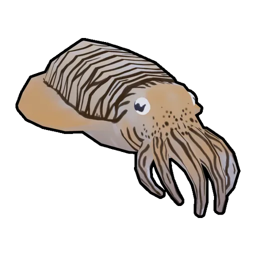Cuttlefish
