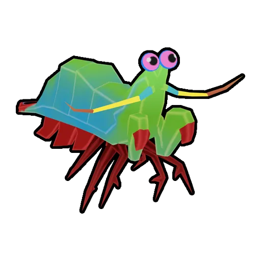 Mantis Shrimp